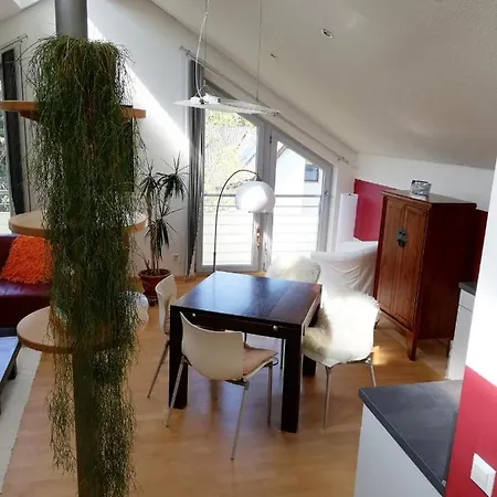 Atelierwohnung Lichtdurchflutet 70q Apartment Passau